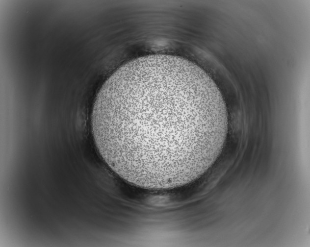 X0000089830653200707191827