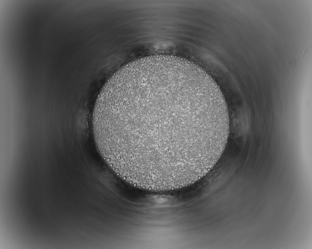 X0000089830654200707191827