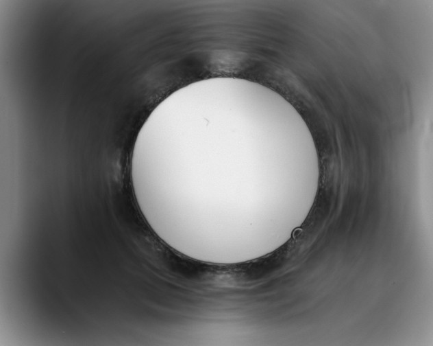 X0000089830655200707191827