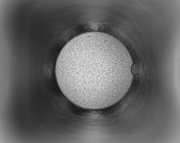 X0000089830656200707191827