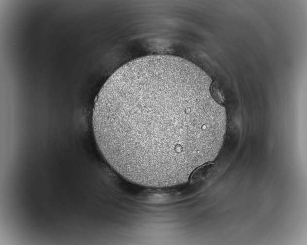 X0000089830658200707191827