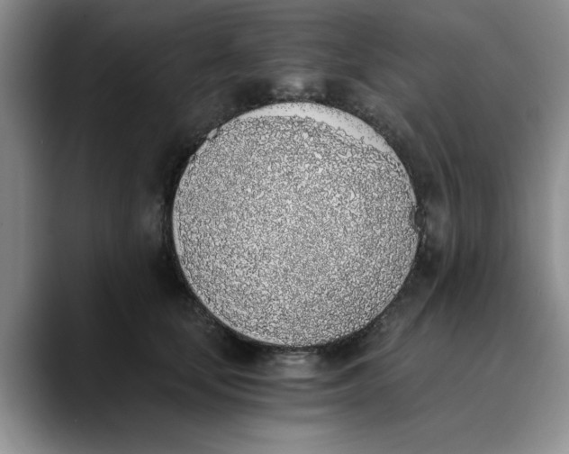 X0000089830659200707191827