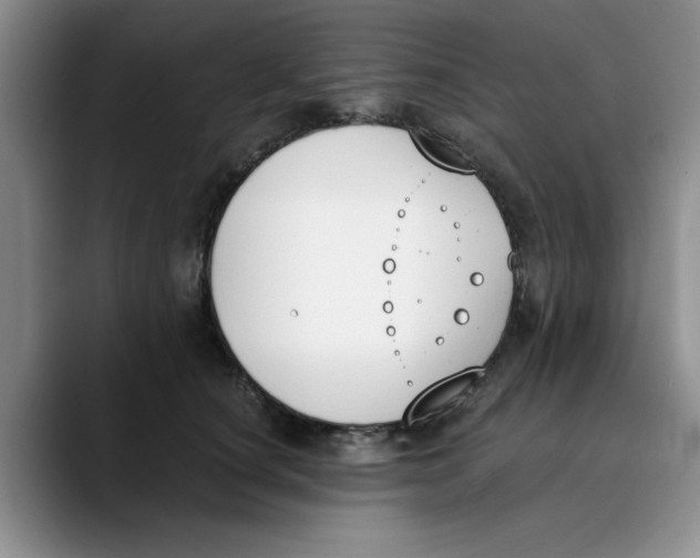 X0000089830660200707191827