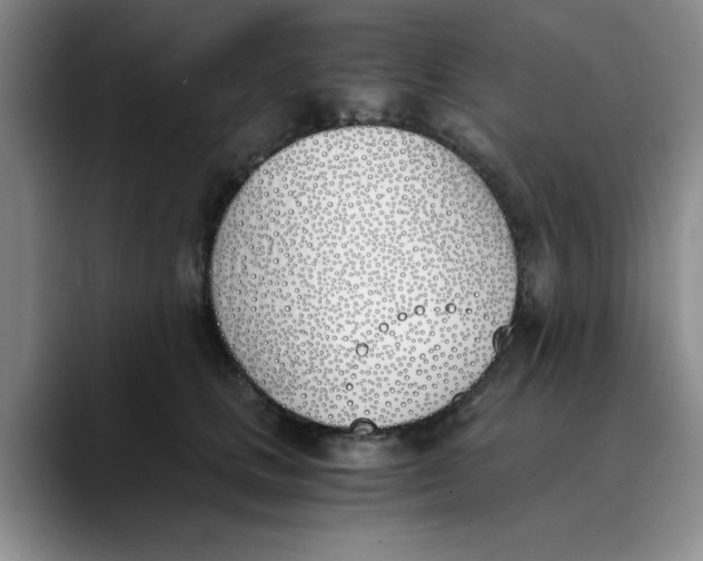 X0000089830661200707191827