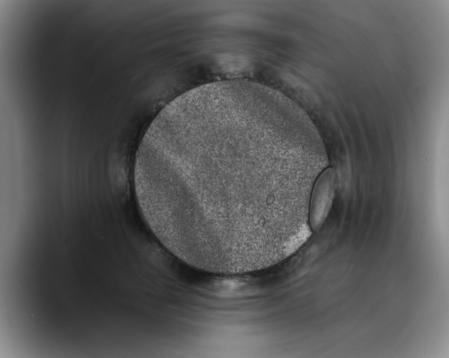 X0000089830662200707191827