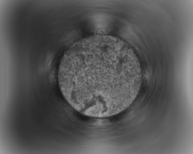 X0000089830663200707191827