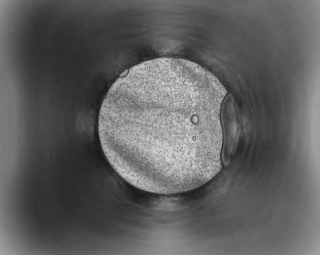 X0000089830664200707191827