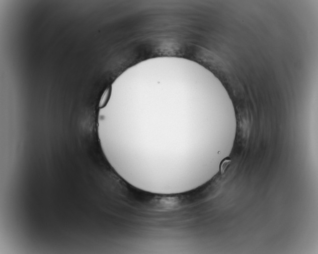 X0000089830665200707191827