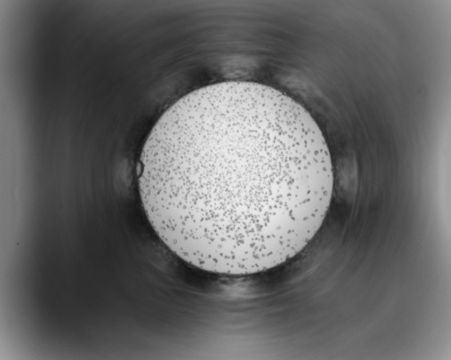 X0000089830667200707191827