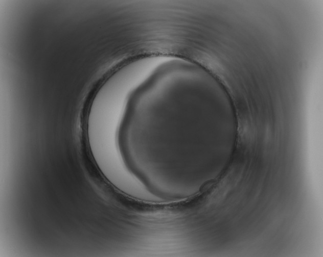 X0000089830674200707191826