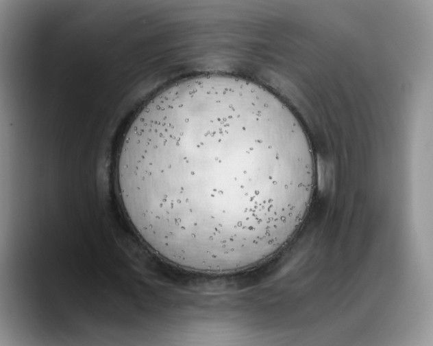 X0000089830675200707191826