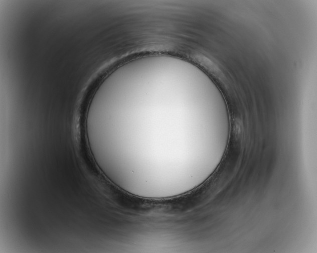 X0000089830676200707191826