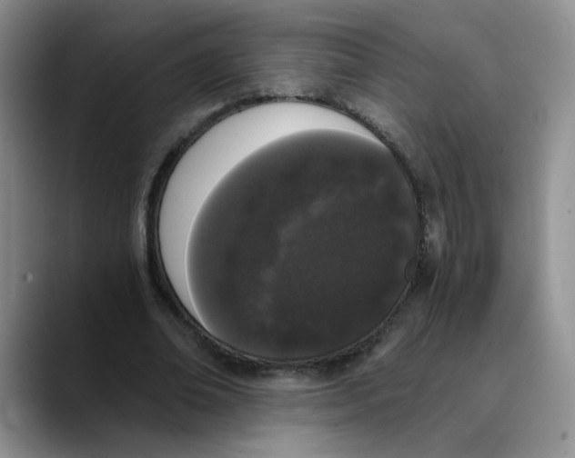 X0000089830678200707191826