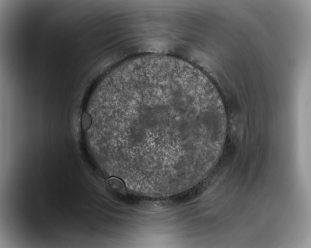 X0000089830679200707191826