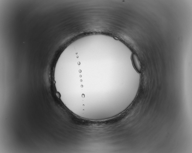 X0000089830680200707191826