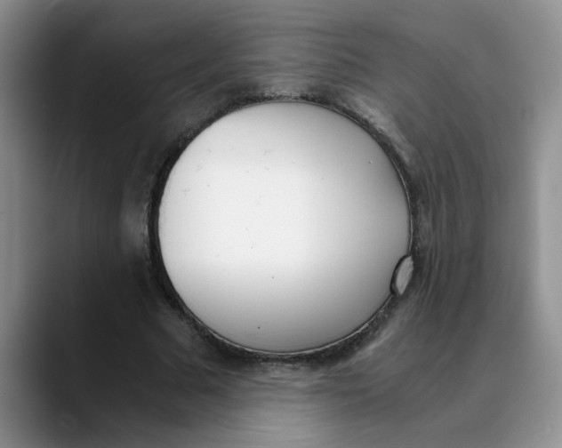 X0000089830681200707191826