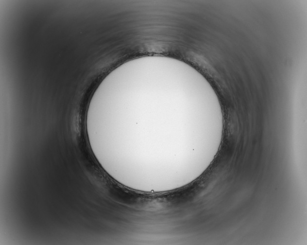 X0000089830683200707191826