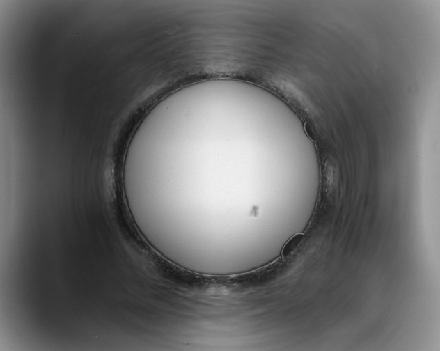 X0000089830684200707191826