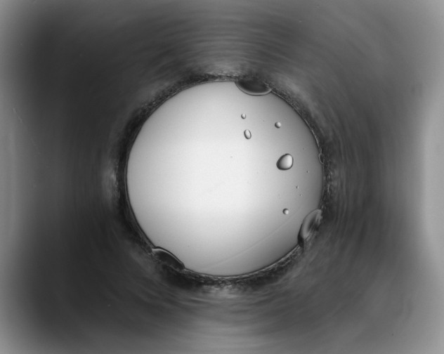 X0000089830688200707191826