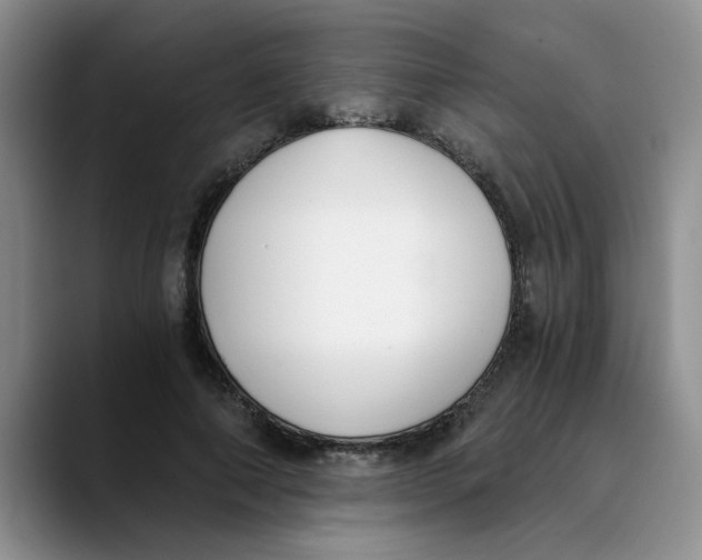 X0000089830690200707191826