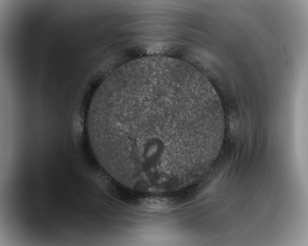 X0000089830691200707191826