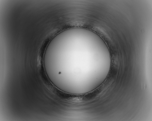 X0000089830692200707191826