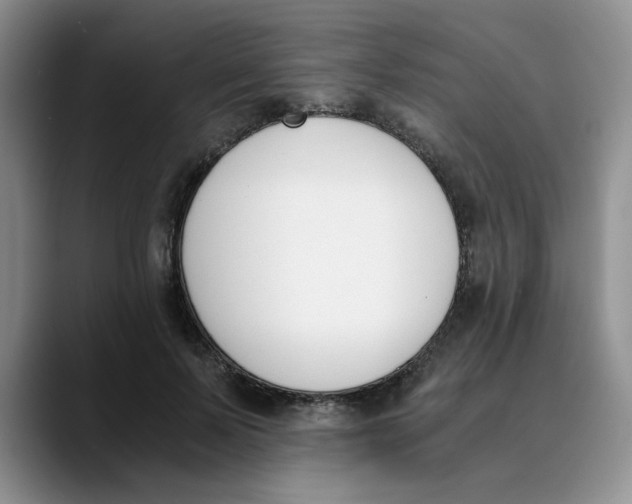 X0000089830695200707191826