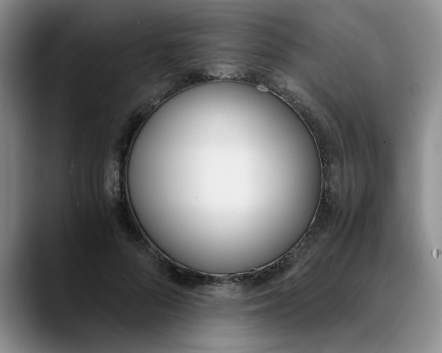 X0000089830696200707191826