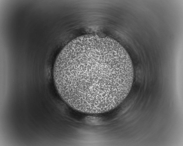 X0000089830699200707191826