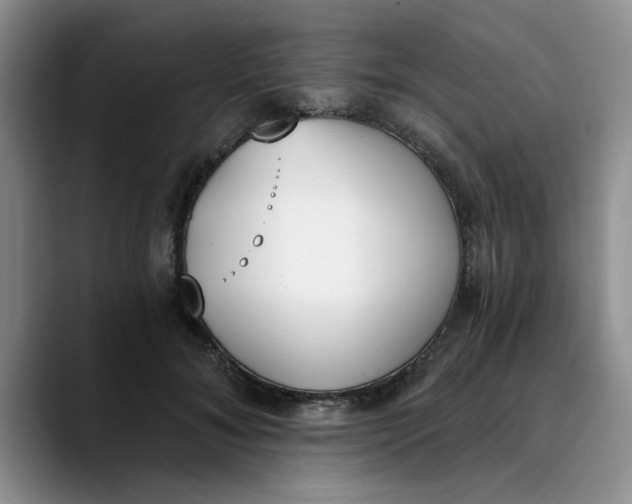 X0000089830700200707191826