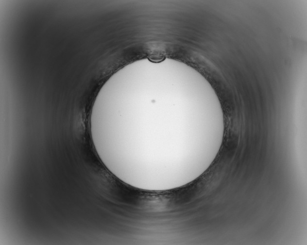 X0000089830702200707191826