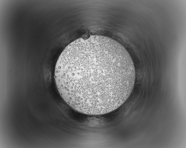 X0000089830703200707191826