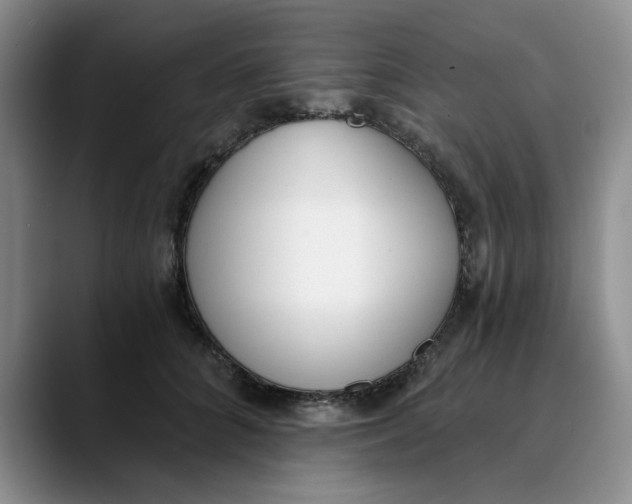 X0000089830704200707191826