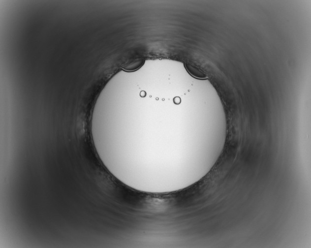 X0000089830706200707191826