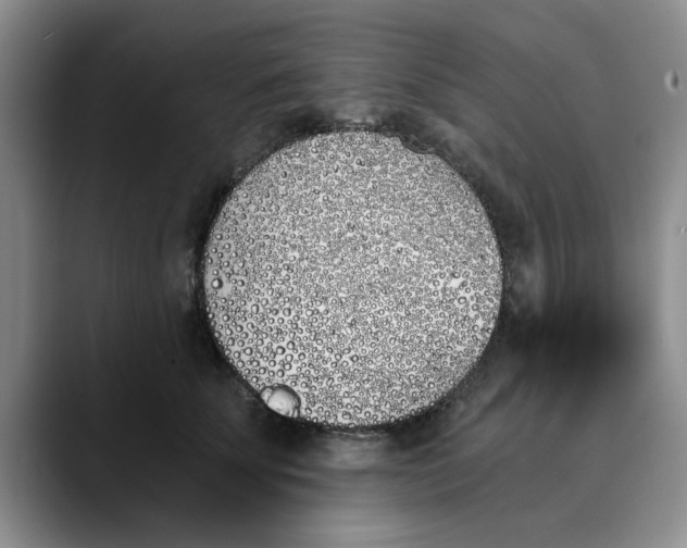 X0000089830707200707191826