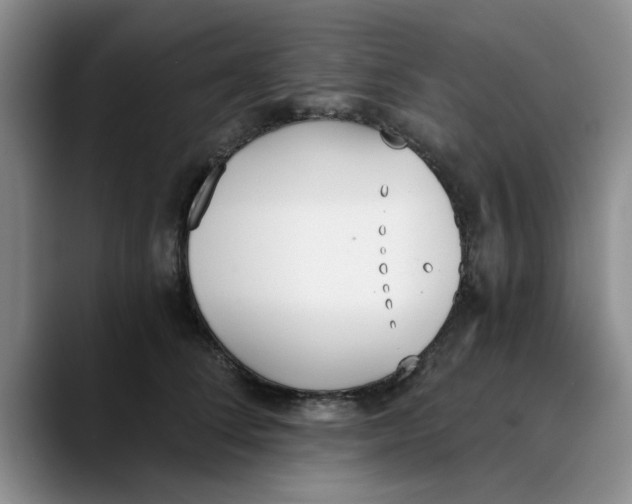 X0000089830708200707191826