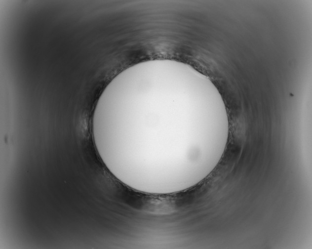 X0000089830709200707191826