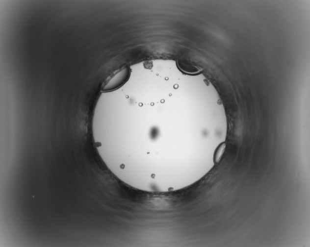 X0000089830710200707191826