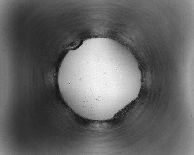 X0000089830712200707191826