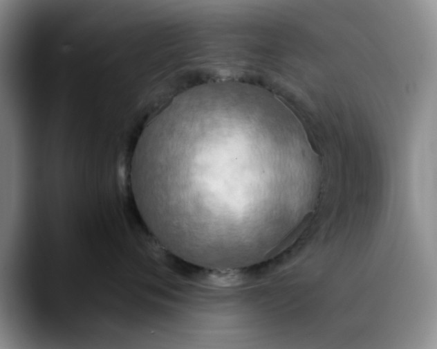 X0000089830720200707191826