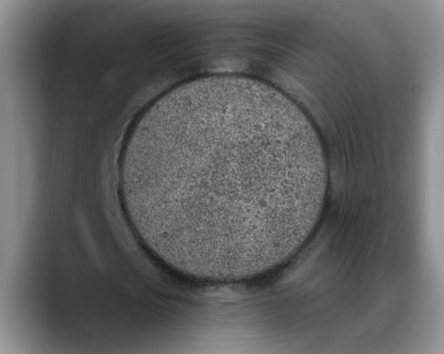 X0000089830721200707191825