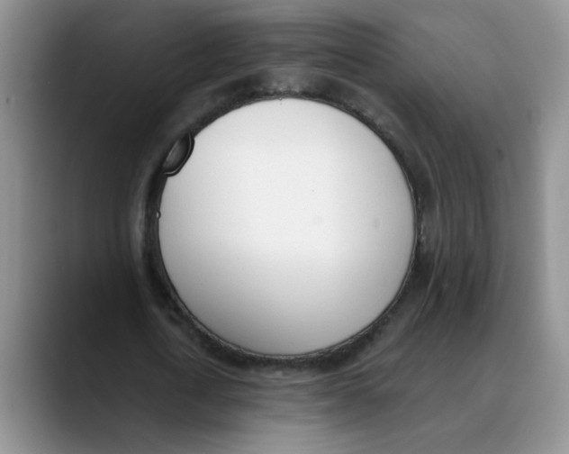 X0000089830722200707191825