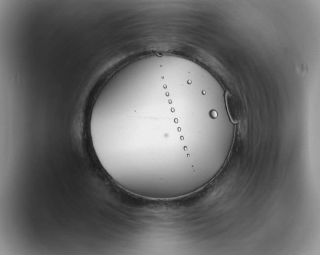 X0000089830724200707191825