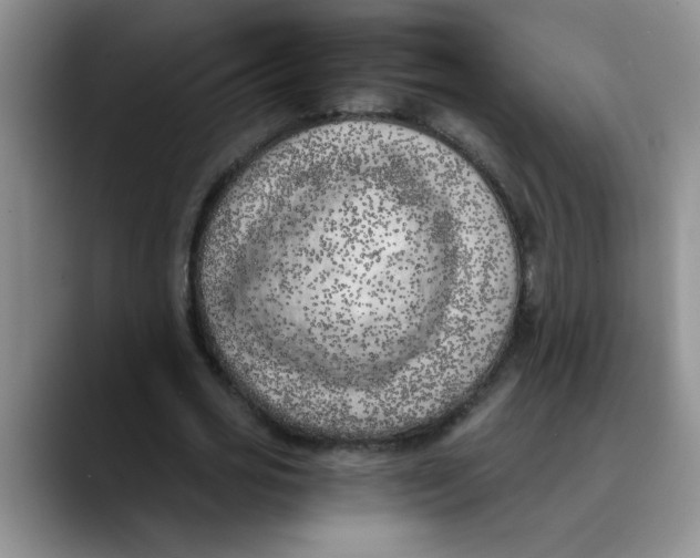 X0000089830725200707191825