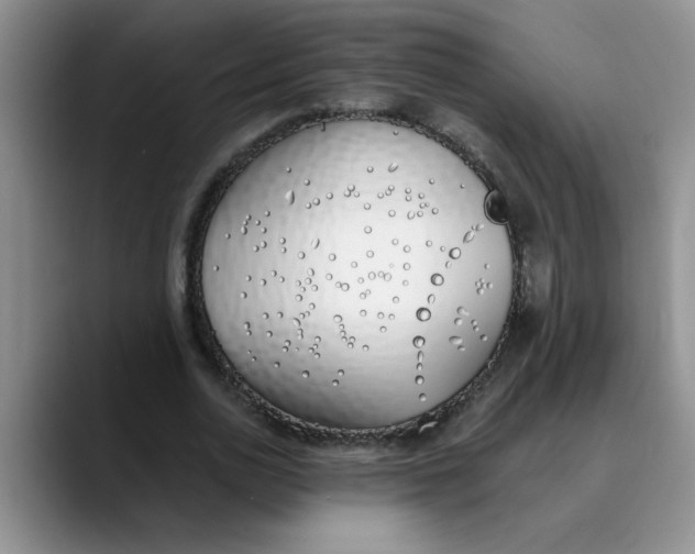 X0000089830726200707191825