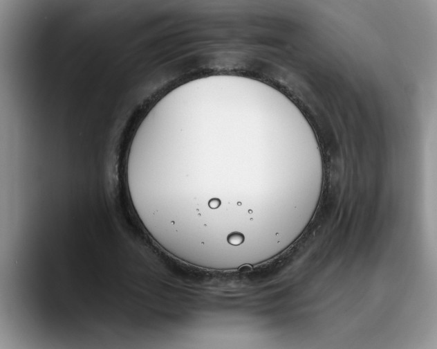 X0000089830727200707191825