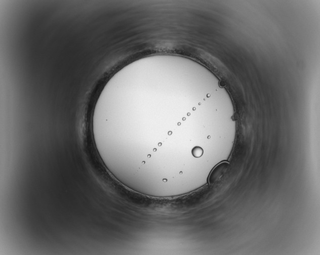 X0000089830728200707191825