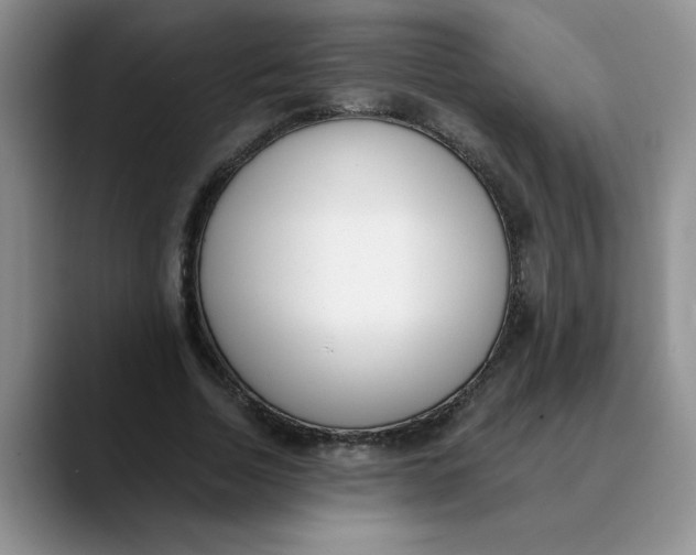 X0000089830730200707191825