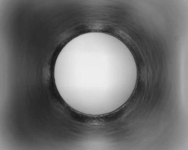 X0000089830731200707191825