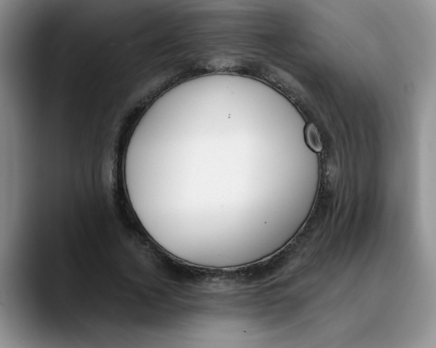 X0000089830732200707191825